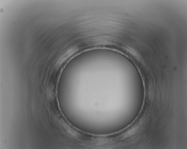 X0000062930873200601202024