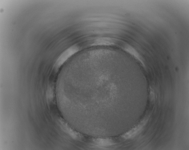 X0000062930874200601202024