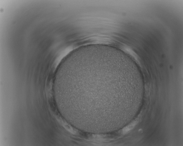 X0000062930875200601202024