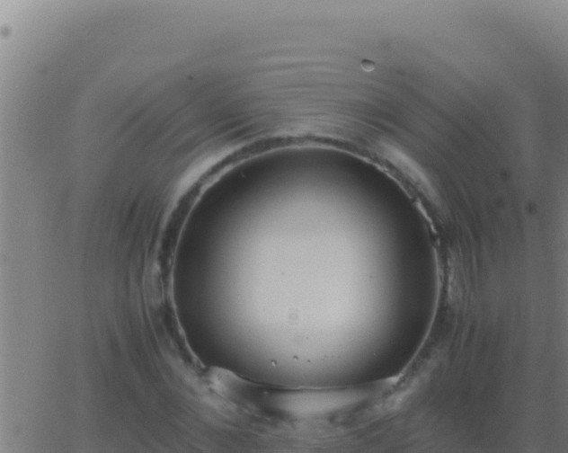 X0000062930876200601202024