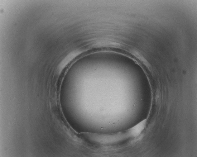 X0000062930877200601202024