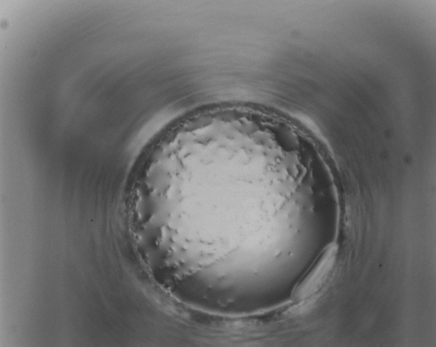 X0000062930879200601202024