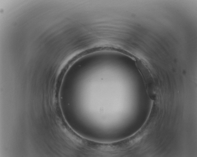 X0000062930880200601202024