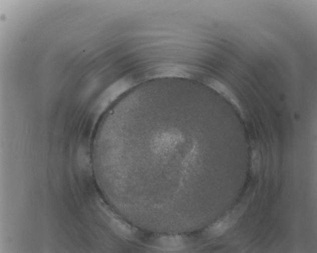 X0000062930882200601202024