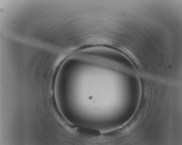 X0000062930885200601202024