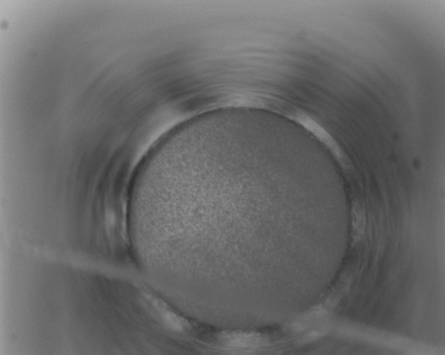 X0000062930886200601202024