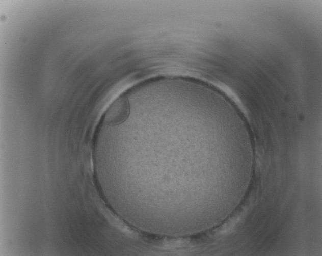 X0000062930887200601202024