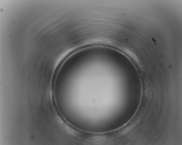 X0000062930888200601202024