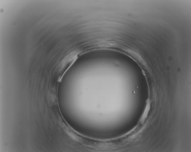 X0000062930889200601202024