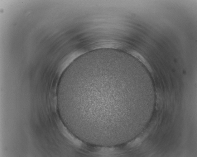 X0000062930890200601202024