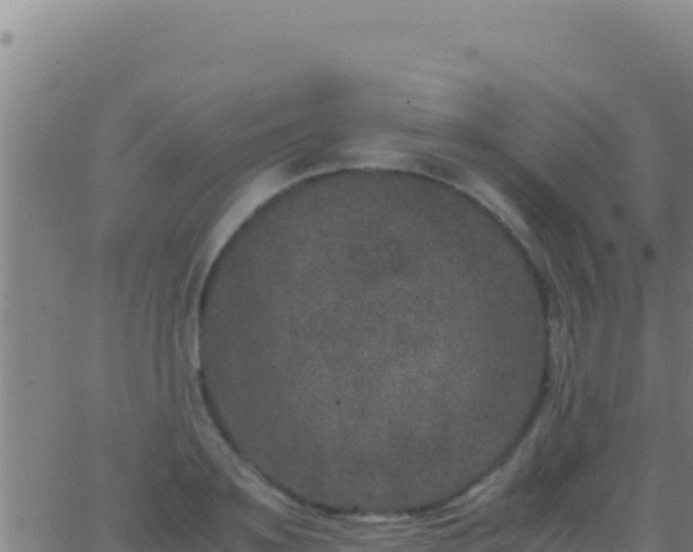 X0000062930891200601202024