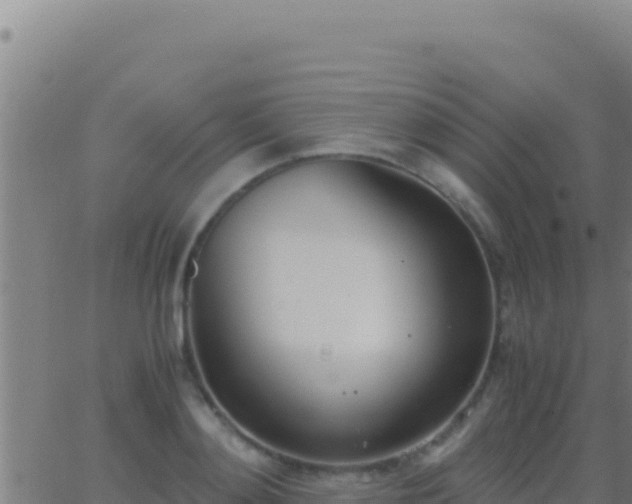 X0000062930892200601202024