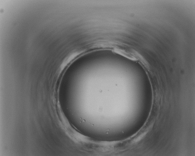 X0000062930893200601202024