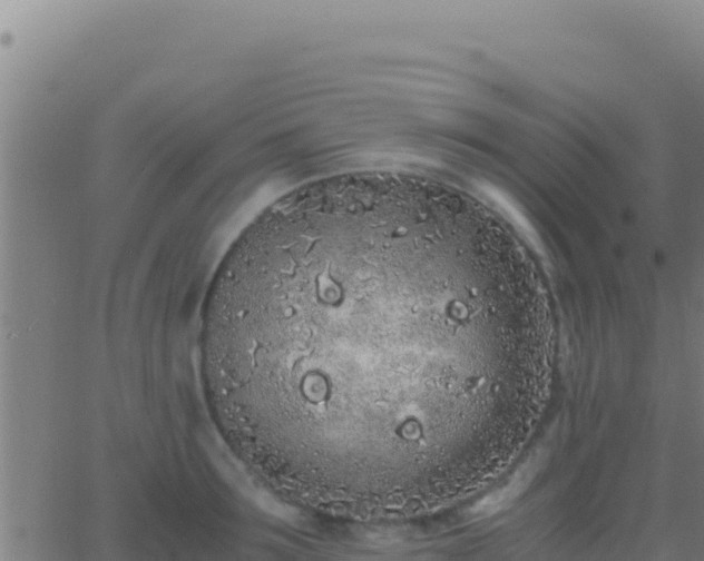 X0000062930899200601202024