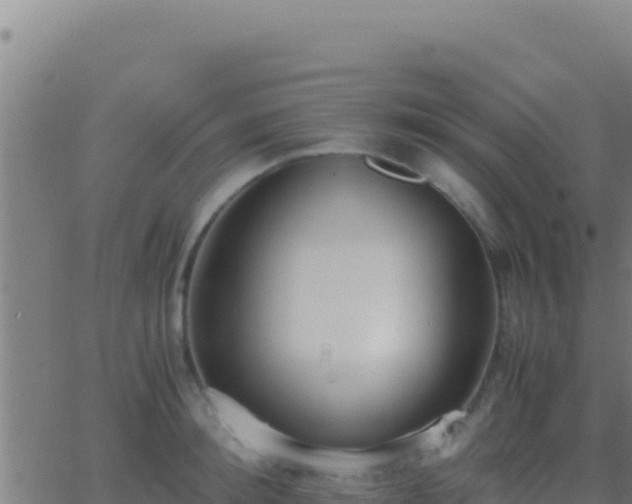 X0000062930900200601202024