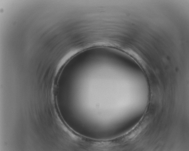 X0000062930902200601202024