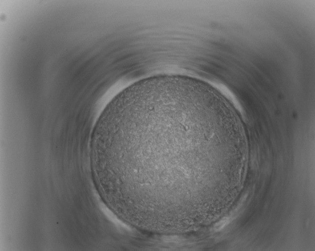 X0000062930903200601202024