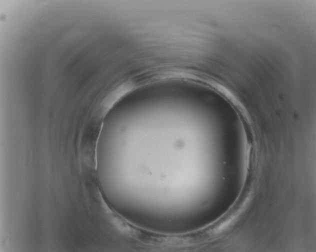 X0000062930905200601202024