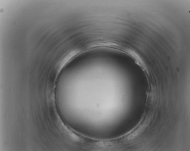 X0000062930906200601202024