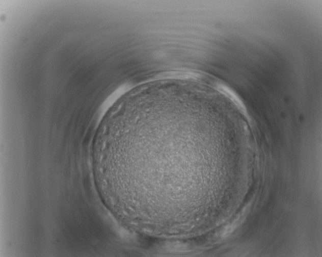 X0000062930907200601202024