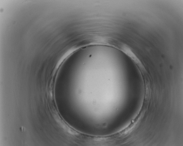 X0000062930908200601202023