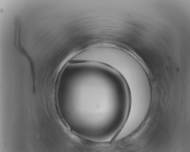 X0000062930909200601202023