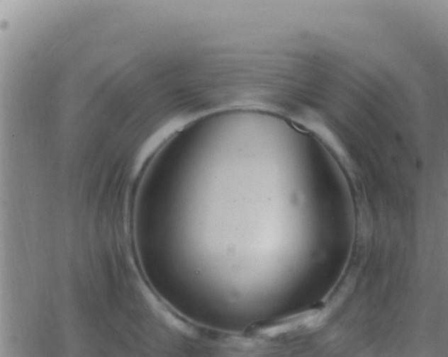 X0000062930910200601202023