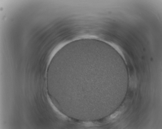 X0000062930911200601202023