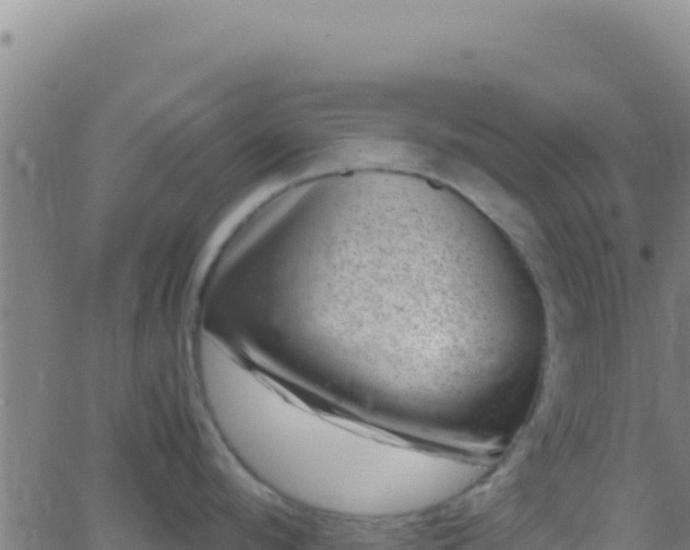 X0000062930912200601202023