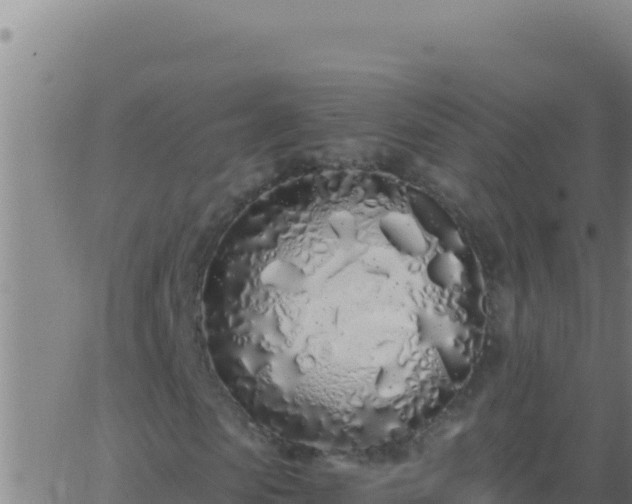 X0000062930913200601202023