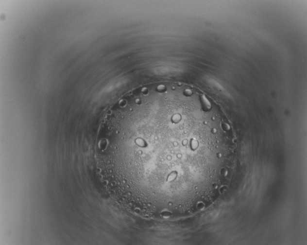 X0000062930917200601202023