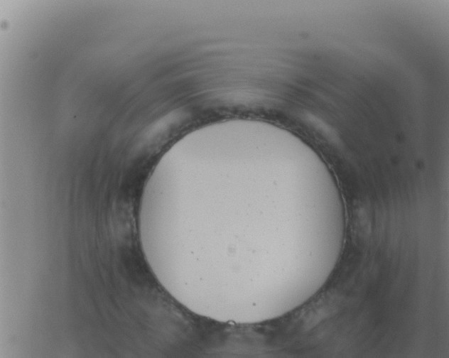 X0000062930918200601202023