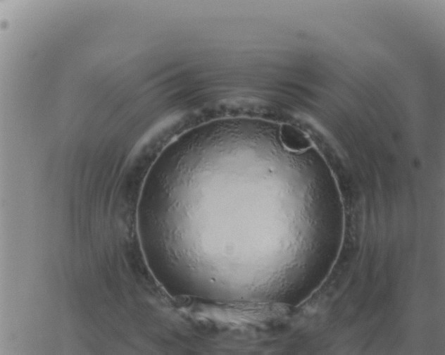 X0000062930919200601202023