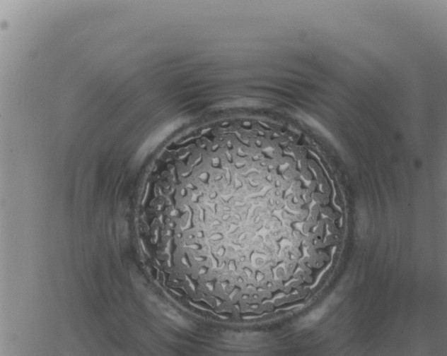 X0000062930921200601202023