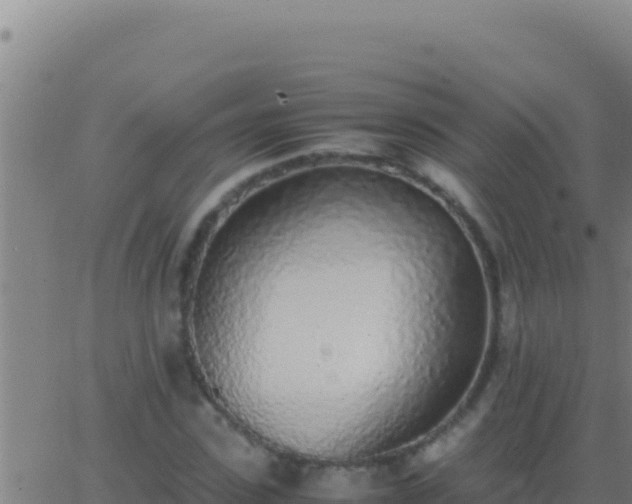 X0000062930923200601202023