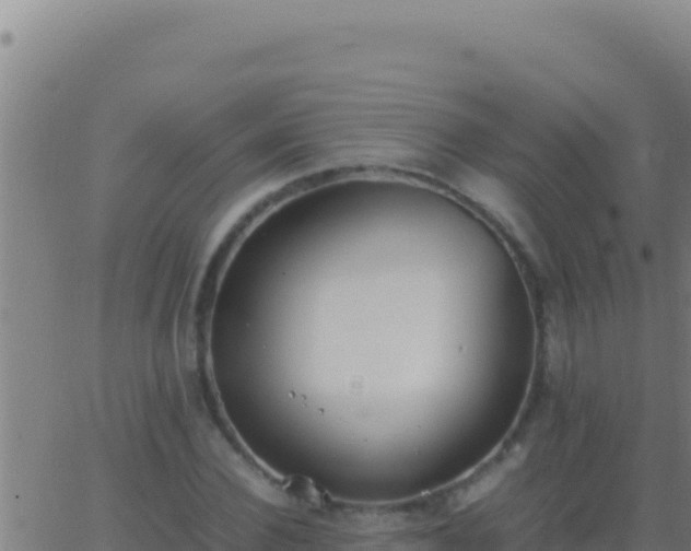 X0000062930924200601202023