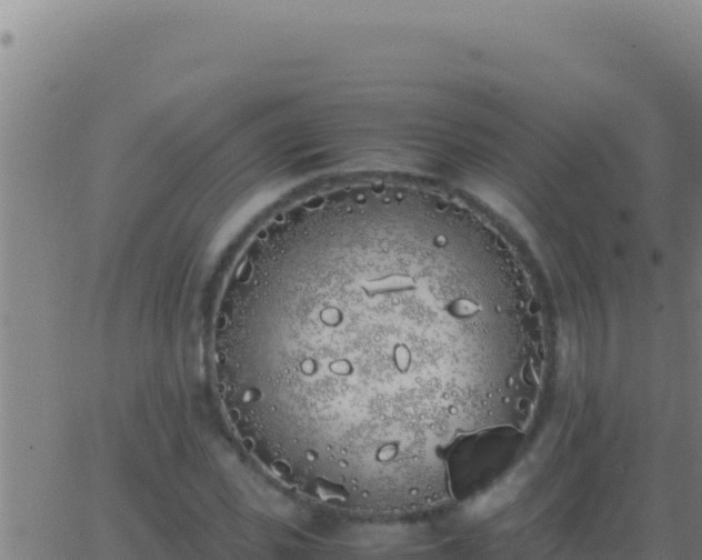 X0000062930925200601202023