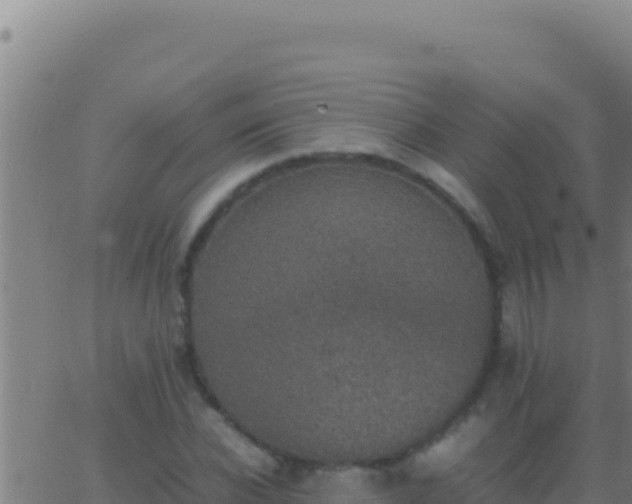 X0000062930926200601202023