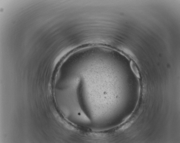 X0000062930928200601202023