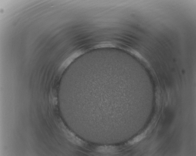 X0000062930929200601202023