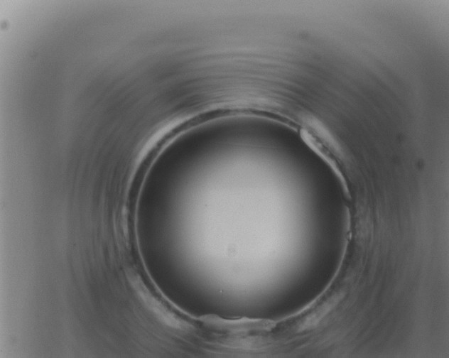 X0000062930932200601202023