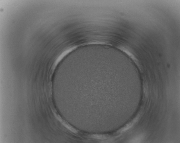 X0000062930933200601202023