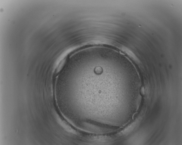 X0000062930934200601202023