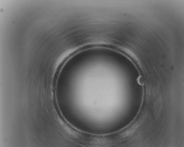 X0000062930935200601202023