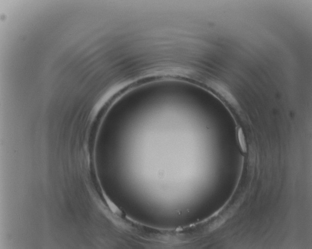 X0000062930936200601202023