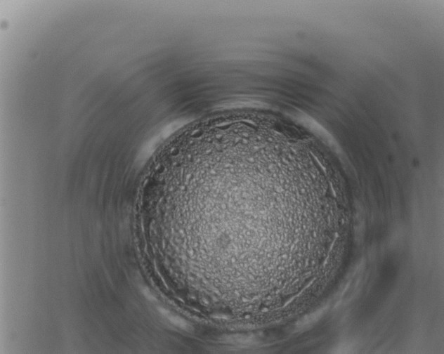 X0000062930937200601202023