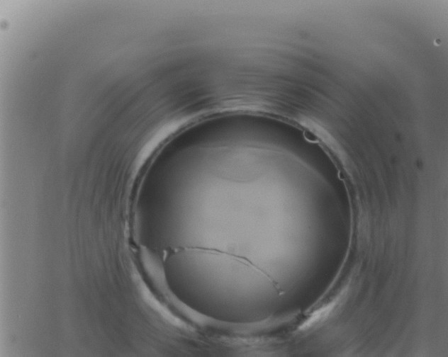 X0000062930941200601202023