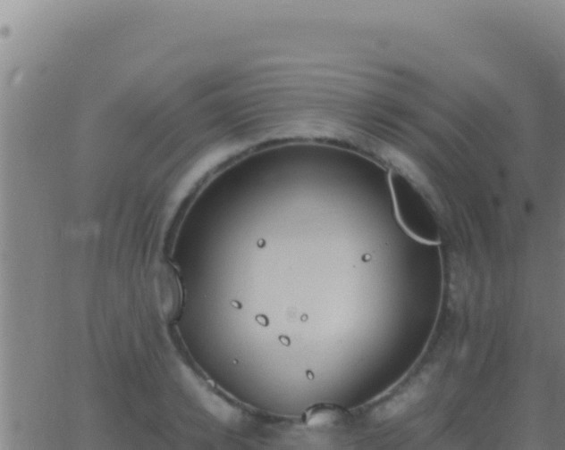 X0000062930942200601202023