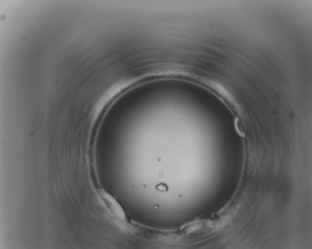 X0000062930943200601202023