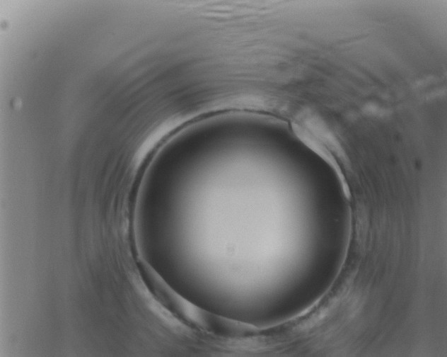 X0000062930944200601202023